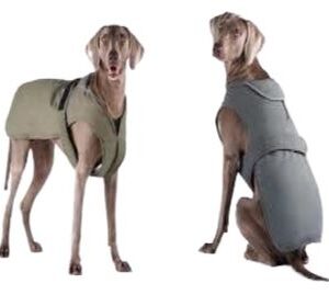 Parachute Warm Fleece Dog Jacket