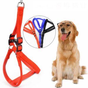 Dog & Puppy Body Foam Harness With Leash