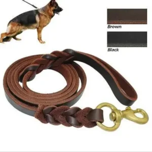 German Shepherd Show leash