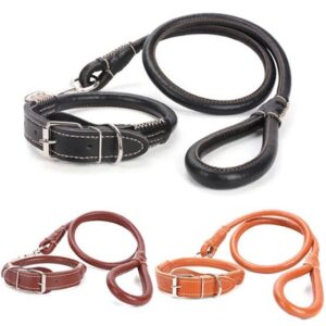 Leather Collar and Leash Heavy Duty For Dogs