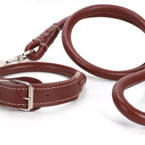 Leather Collar and Leash Heavy Duty For Dogs