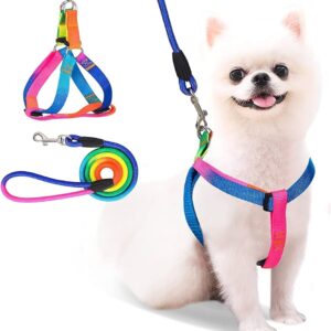 Rainbow Color Dog Harness & Leash